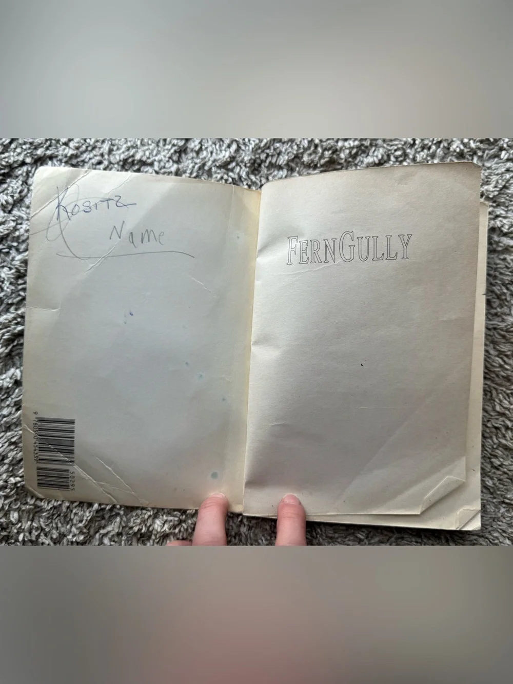 FernGully The Last Rainforest Movie Tie-In Paperback Book by Diana Young Vintage